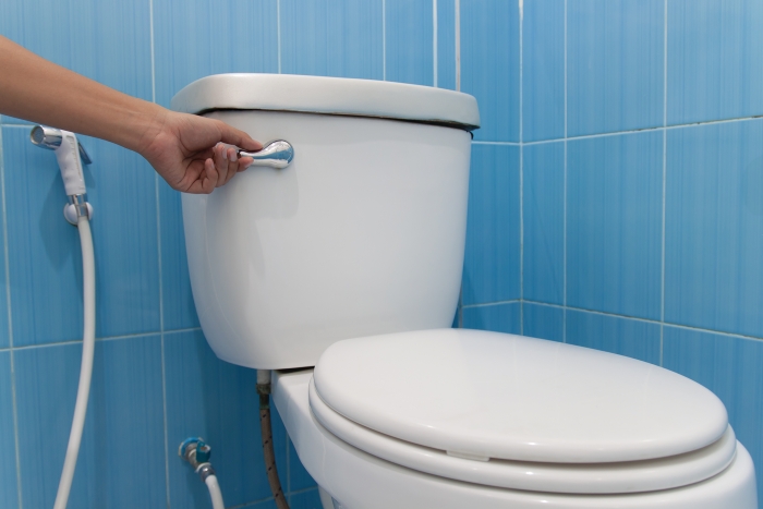 Development of flush toilets and usages
